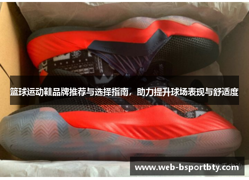 篮球运动鞋品牌推荐与选择指南，助力提升球场表现与舒适度