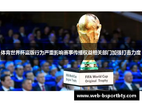 体育世界杯盗版行为严重影响赛事传播权益相关部门加强打击力度