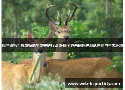 哈兰德携手挪威极地生态守护行动 呼吁全球共同保护濒危物种与生态环境