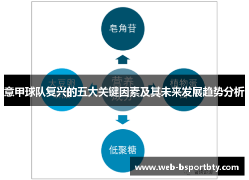 意甲球队复兴的五大关键因素及其未来发展趋势分析