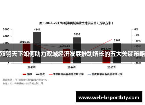 双羽天下如何助力双城经济发展推动增长的五大关键策略
