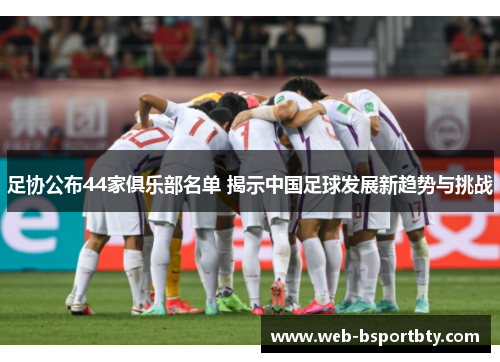 足协公布44家俱乐部名单 揭示中国足球发展新趋势与挑战