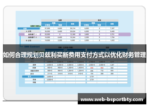 如何合理规划贝兹利买断费用支付方式以优化财务管理